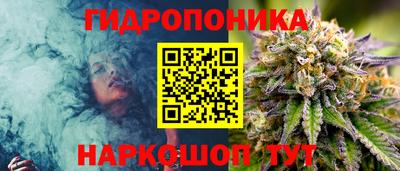 не бодяженный Будённовск