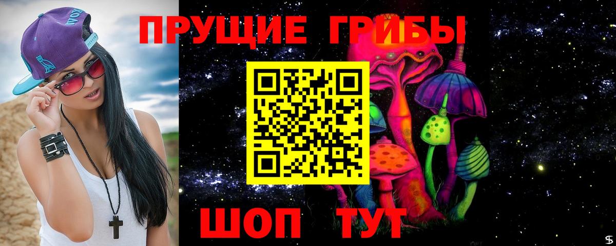 Псилоцибиновые грибы прущие грибы  Вход с VPN  Ставрополь 